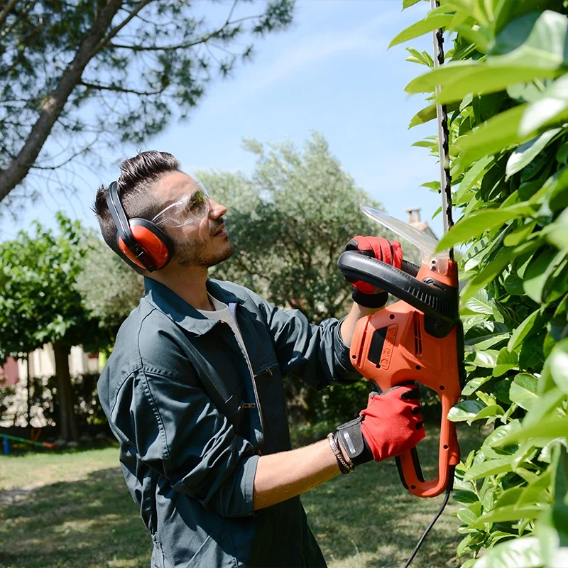 Landscaping image