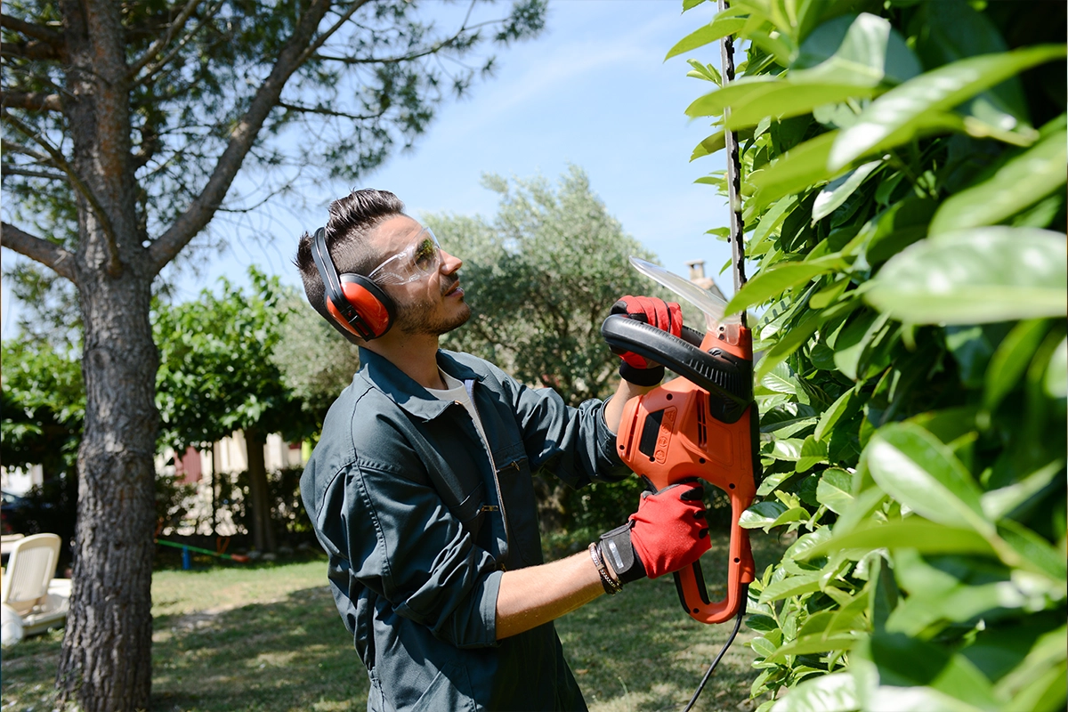 Landscaping Tender Writing Services image